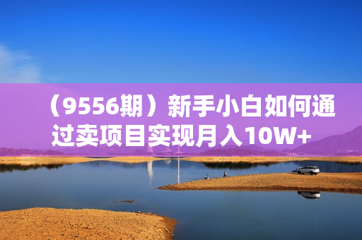 （9556期）新手小白如何通过卖项目实现月入10W+