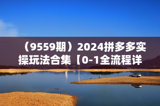 （9559期）2024拼多多实操玩法合集【0-1全流程详解】照葫芦画瓢（9节课）