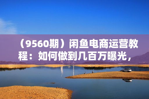 （9560期）闲鱼电商运营教程：如何做到几百万曝光，几十万的销售额，百万利润