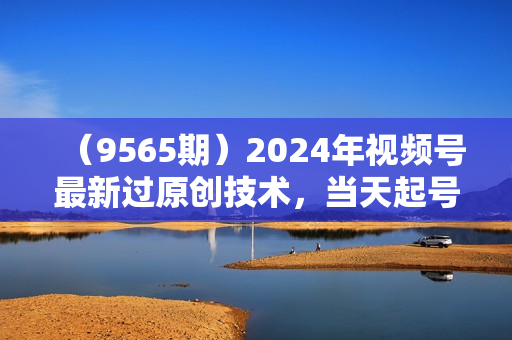 （9565期）2024年视频号最新过原创技术，当天起号，收入稳定，日入1000+