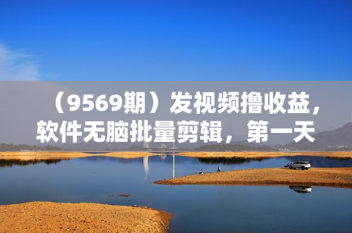 （9569期）发视频撸收益，软件无脑批量剪辑，第一天发第二天就有钱