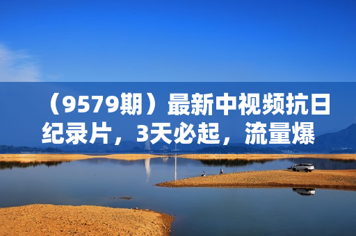 （9579期）最新中视频抗日纪录片，3天必起，流量爆炸，单日收益1000＋