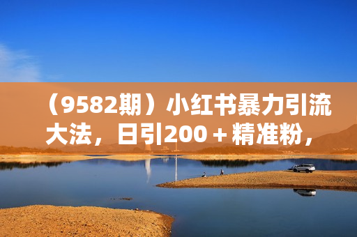 （9582期）小红书暴力引流大法，日引200＋精准粉，一键触达上万人，附详细实操