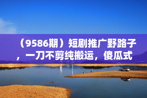 （9586期）短剧推广野路子，一刀不剪纯搬运，傻瓜式操作，日入1000+