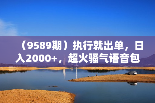 （9589期）执行就出单，日入2000+，超火骚气语音包，小白看完课程就能马上实操