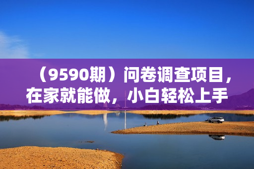 （9590期）问卷调查项目，在家就能做，小白轻松上手，不需要经验，单号日均100-300