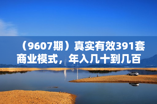（9607期）真实有效391套商业模式，年入几十到几百万案例解析（电子书+视频+图文）