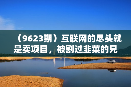 （9623期）互联网的尽头就是卖项目，被割过韭菜的兄弟们必看！轻松月入三万以上！