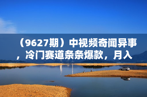 （9627期）中视频奇闻异事，冷门赛道条条爆款，月入10000＋
