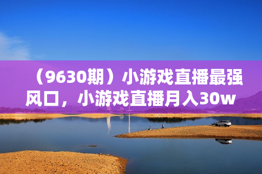 （9630期）小游戏直播最强风口，小游戏直播月入30w，0粉变现，最适合小白做的项目