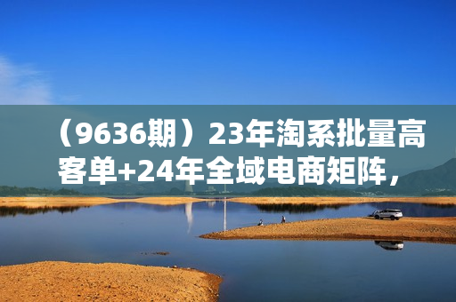 （9636期）23年淘系批量高客单+24年全域电商矩阵，批量高客单线上课（109节课）