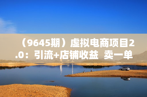 （9645期）虚拟电商项目2.0：引流+店铺收益  卖一单，挣一单的钱，付费暴利起店