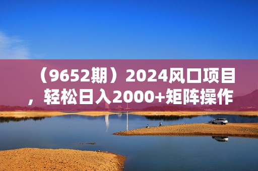（9652期）2024风口项目，轻松日入2000+矩阵操作，详细教程