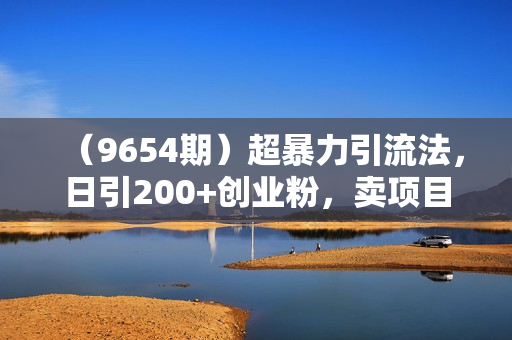 （9654期）超暴力引流法，日引200+创业粉，卖项目月入10W+