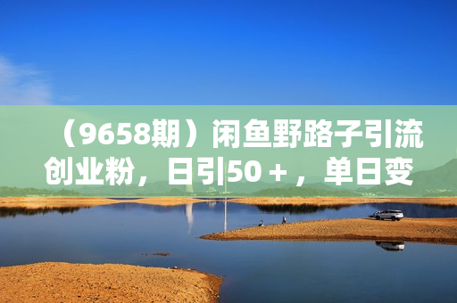 （9658期）闲鱼野路子引流创业粉，日引50＋，单日变现四位数