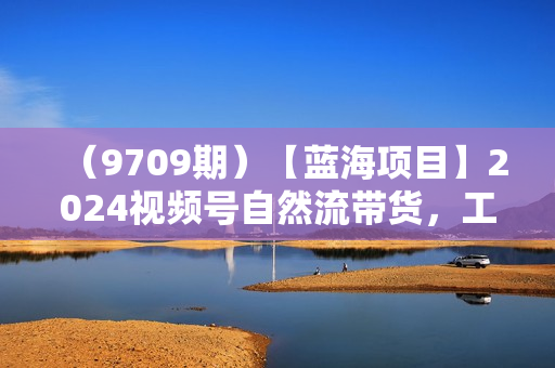 （9709期）【蓝海项目】2024视频号自然流带货，工作室落地玩法，单个直播间日入9000+