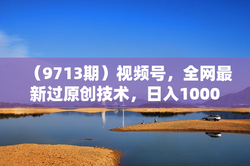（9713期）视频号，全网最新过原创技术，日入1000+