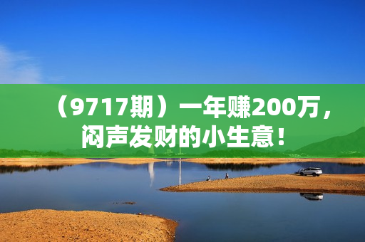（9717期）一年赚200万，闷声发财的小生意！