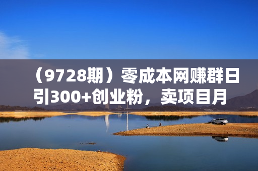（9728期）零成本网赚群日引300+创业粉，卖项目月六位数变现，门槛低好上手！24年