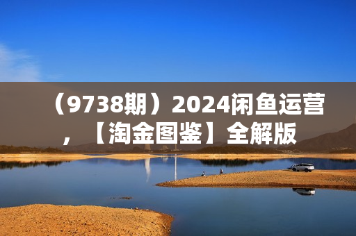 （9738期）2024闲鱼运营，【淘金图鉴】全解版