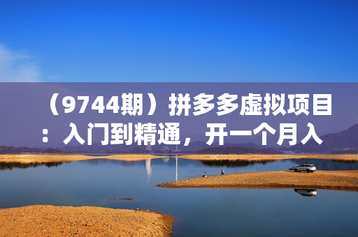 （9744期）拼多多虚拟项目：入门到精通，开一个月入万把块的店铺 真不难（24年更新）