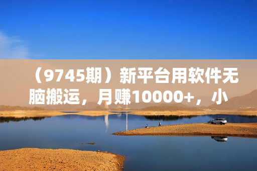 （9745期）新平台用软件无脑搬运，月赚10000+，小白也能轻松上手