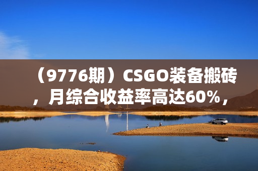 （9776期）CSGO装备搬砖，月综合收益率高达60%，你也可以！