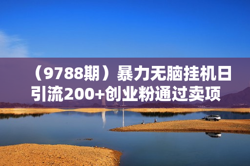 （9788期）暴力无脑挂机日引流200+创业粉通过卖项目日变现2000+