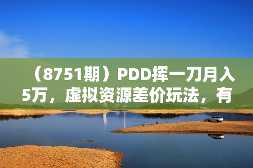 （8751期）PDD挥一刀月入5万，虚拟资源差价玩法，有手就会，落地保姆式教程