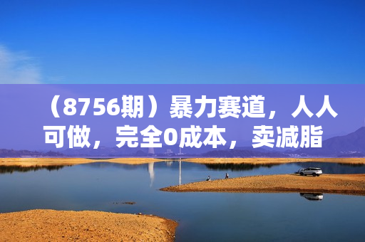 （8756期）暴力赛道，人人可做，完全0成本，卖减脂教学和产品轻松日入400+