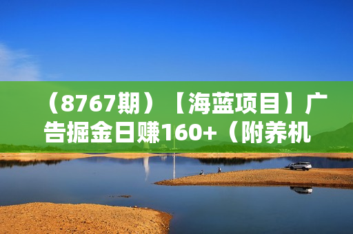 （8767期）【海蓝项目】广告掘金日赚160+（附养机教程） 长期稳定，收益妙到