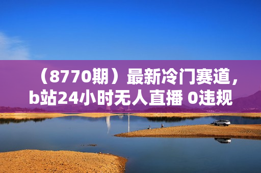 （8770期）最新冷门赛道，b站24小时无人直播 0违规0封号，单号每日躺赚100＋矩阵放