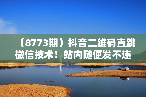（8773期）抖音二维码直跳微信技术！站内随便发不违规！！
