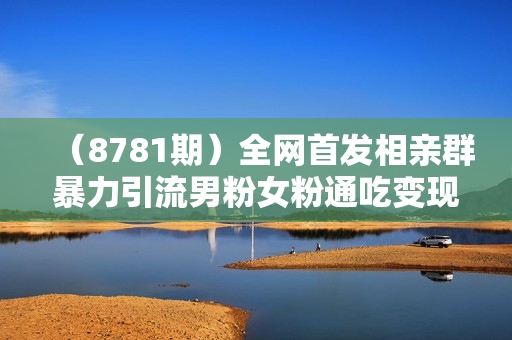 （8781期）全网首发相亲群暴力引流男粉女粉通吃变现玩法，单日变现7000+保姆教学1.0