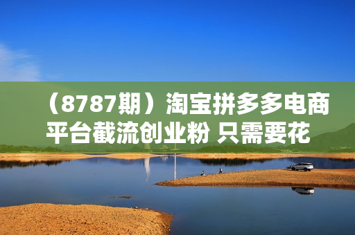 （8787期）淘宝拼多多电商平台截流创业粉 只需要花上1分钱，长尾流量至少给你引流50粉