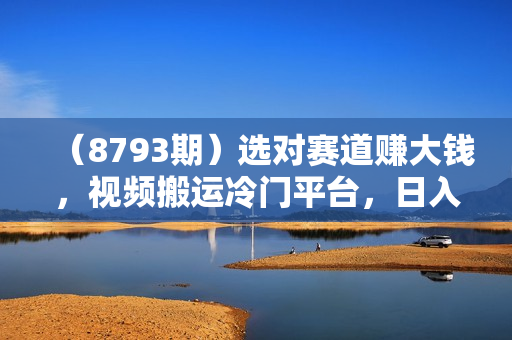 （8793期）选对赛道赚大钱，视频搬运冷门平台，日入500+的保姆级教程