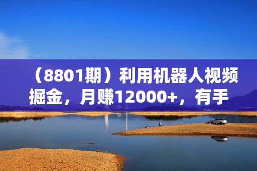 （8801期）利用机器人视频掘金，月赚12000+，有手就会，落地保姆级教程