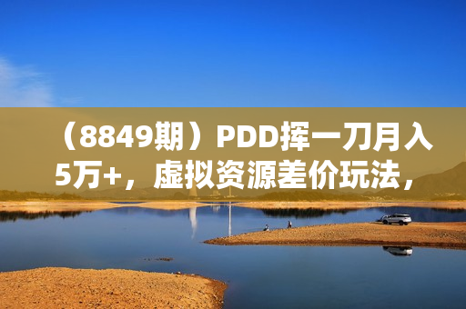 （8849期）PDD挥一刀月入5万+，虚拟资源差价玩法，落地保姆式教程，小白也能轻松操作
