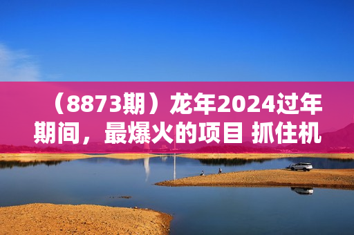 （8873期）龙年2024过年期间，最爆火的项目 抓住机会 普通小白如何逆袭一个月收益30W+