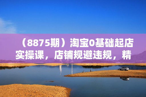（8875期）淘宝0基础起店实操课，店铺规避违规，精细化选词及选品等