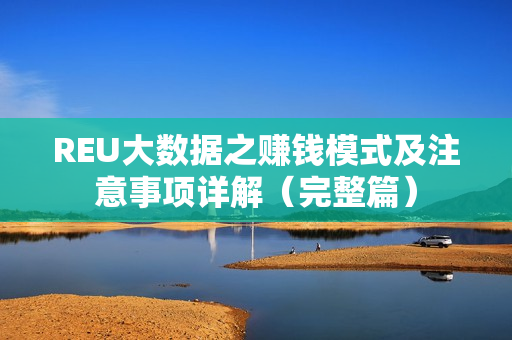 REU大数据之赚钱模式及注意事项详解（完整篇）