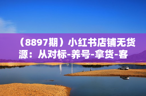 （8897期）小红书店铺无货源：从对标-养号-拿货-客服话术-售后全流程（20节课）