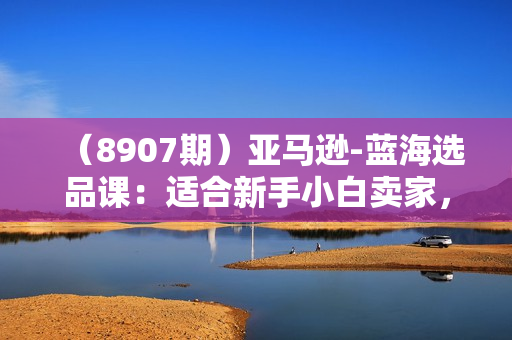 （8907期）亚马逊-蓝海选品课：适合新手小白卖家，让你轻松日出几十单小爆款产品