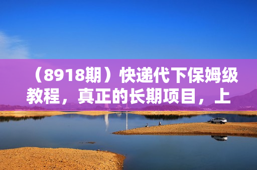（8918期）快递代下保姆级教程，真正的长期项目，上手快收入稳【实操+渠道】