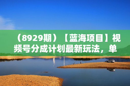 （8929期）【蓝海项目】视频号分成计划最新玩法，单天收益8000+，附玩法教程，24年