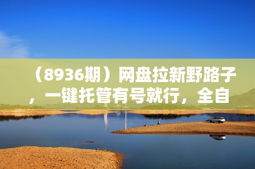 （8936期）网盘拉新野路子，一键托管有号就行，全自动代发视频，每日躺赚2000＋，