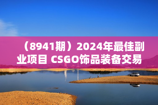 （8941期）2024年最佳副业项目 CSGO饰品装备交易 轻易操作单账号日入200+