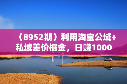 （8952期）利用淘宝公域+私域差价掘金，日赚1000-5000元，工作室可放大操作，实操