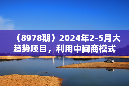 （8978期）2024年2-5月大趋势项目，利用中间商模式，简单轻松好上手，轻松月入10W
