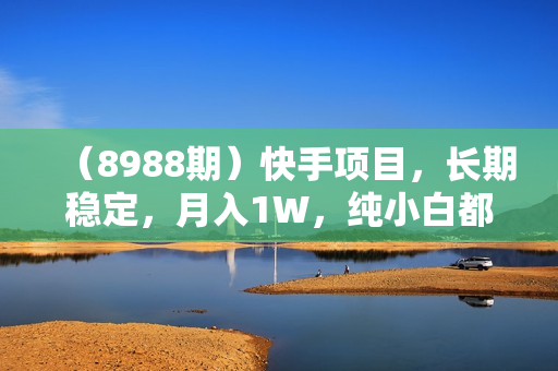 （8988期）快手项目，长期稳定，月入1W，纯小白都可以干的项目